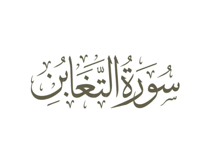 شرح سورة التغابن