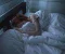 Why Do We Need to Sleep? The Hidden Science Behind the Ultimate Miracle Drug