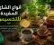 صورة مقال أنواع الشاي المفيدة للتخسيس: 7 أنواع قد تساعدك على إنقاص الوزن بطريقة طبيعية