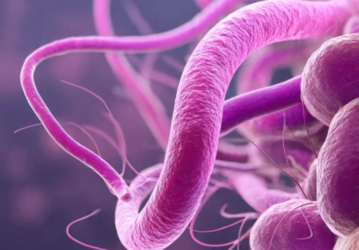 H. Pylori Infection: Symptoms, Treatment, and Prevention Guide