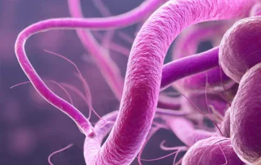 H. Pylori Infection: Symptoms, Treatment, and Prevention Guide