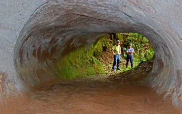 The Giant Ground Sloth Tunnels of Brazil         Around 10,000 years ago, enormous giant ground sloths lived in Brazil. 