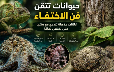 حيوانات تتقن فن الاختفاء.. كائنات مذهلة تندمج مع بيئتها حتى تختفي تمامًا