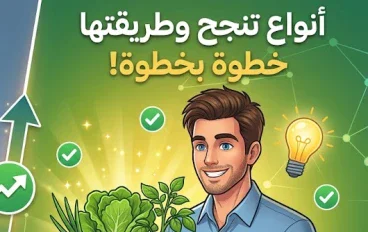 هل يمكن إعادة زراعة الخضروات من بقايا المطبخ؟ أنواع تنجح وطريقة زراعتها خطوة بخطوة