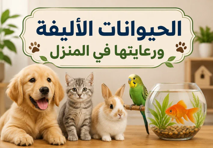 الحيوانات الأليفة ورعايتها في المنزل