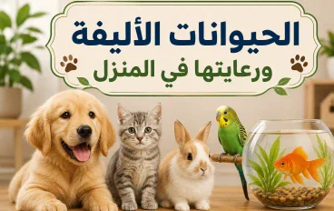 الحيوانات الأليفة ورعايتها في المنزل