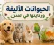 صورة مقال الحيوانات الأليفة ورعايتها في المنزل