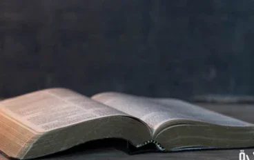 هل تعرف القصة وراء هذه الأمثال الشعبية؟
