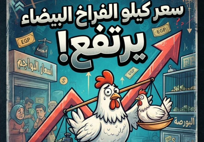 🐔 سعر كيلو الفراخ البيضاء الآن بعد الارتفاع الأخير.. أسعار الدواجن اليوم السبت 5-9-2026 بالأسواق والبورصة