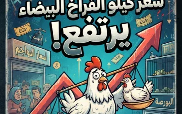 🐔 سعر كيلو الفراخ البيضاء الآن بعد الارتفاع الأخير.. أسعار الدواجن اليوم السبت 5-9-2026 بالأسواق والبورصة