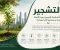 صورة مقال التشجير: ركيزة أساسية لتحسين جودة الحياة وتحقيق الاستدامة البيئية.