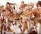 صورة مقال ⚔️ Attack on Titan.. عندما يصبح السور الذي يحميك هو نفسه السجن الذي يمنعك من رؤية الحقيقة