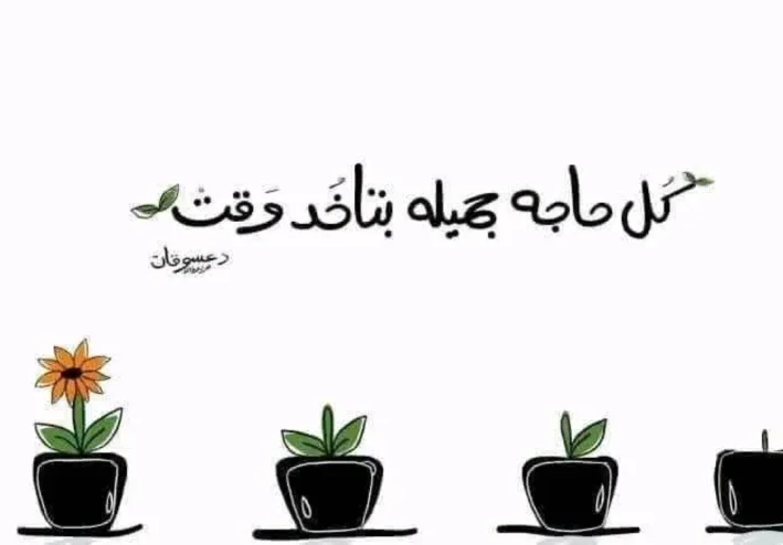 العقل والقلب في صراعٍ مع الواقع والكفة الراجحة مع الصبر