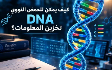 🧬 كيف يمكن للحمض النووي DNA تخزين المعلومات؟