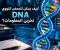 صورة مقال 🧬 كيف يمكن للحمض النووي DNA تخزين المعلومات؟