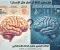صورة مقال هل يمكن للآلة أن تفكر مثل الإنسان؟