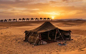 خديجة بنت خويلد.. أم المؤمنين الأولى وسند النبوة في بدايتها