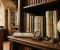 صورة مقال تحميل كتاب الأضواء دراسات للصف الثالث الإعدادي ترم أول 2027