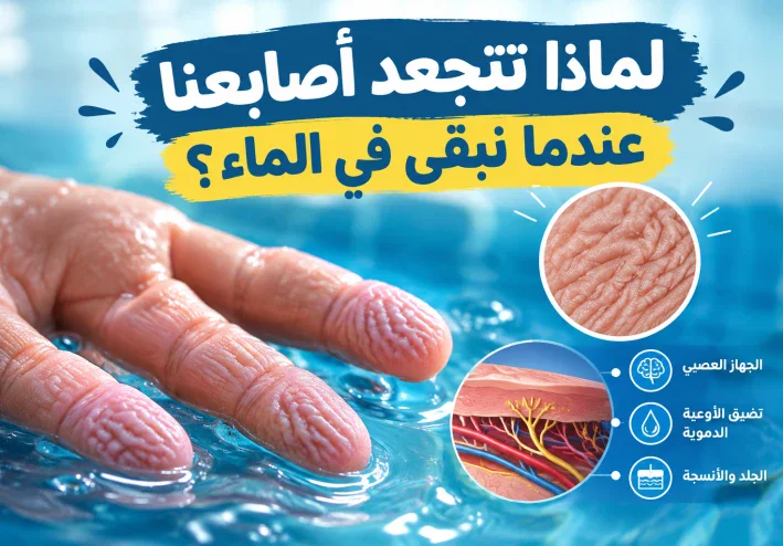 لماذا تتجعد أصابعنا عندما نبقى في الماء؟