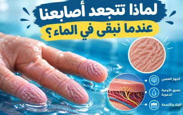 لماذا تتجعد أصابعنا عندما نبقى في الماء؟ 