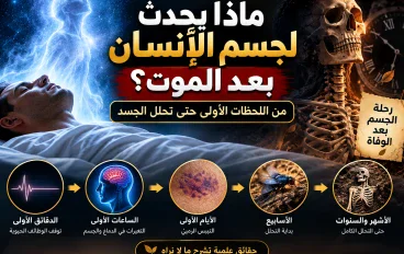 ماذا يحدث لجسم الإنسان بعد الموت؟ من اللحظات الأولى حتى تحلل الجسد