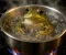 صورة مقال " The boiling frog " كيف وصلنا إلى هنا؟ 