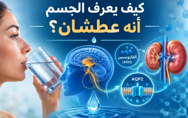 كيف يعرف الجسم أنه عطشان؟