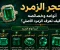 صورة مقال حجر الزمرد: أنواعه وخصائصه وكيف تعرف الزمرد الأصلي؟