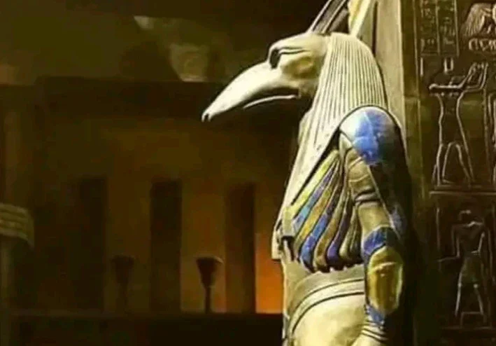القصة الأولى: معركة طوفان النار.. صمود "شيوخ" جزيرة شيو