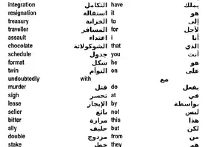 تحميل كتاب 6000كلمة هامة في إتقان اللغة الانجليزية مترجمة pdf ، doc