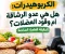 صورة مقال الكربوهيدرات: هل هي عدو الرشاقة أم وقود العضلات؟ الحقيقة العلمية الصادمة
