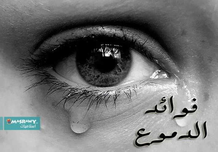 هل سبق و تأملت يوما ما فائدة تلك الدموع؟