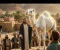 صورة مقال قصه سيدنا صالح عليه السلام ومعجزة الناقه
