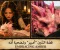حقيقة فيلم التنين الوردي "أمبير" الذي أثار الجدل.. القصة كاملة التي يبحث عنها الملايين!