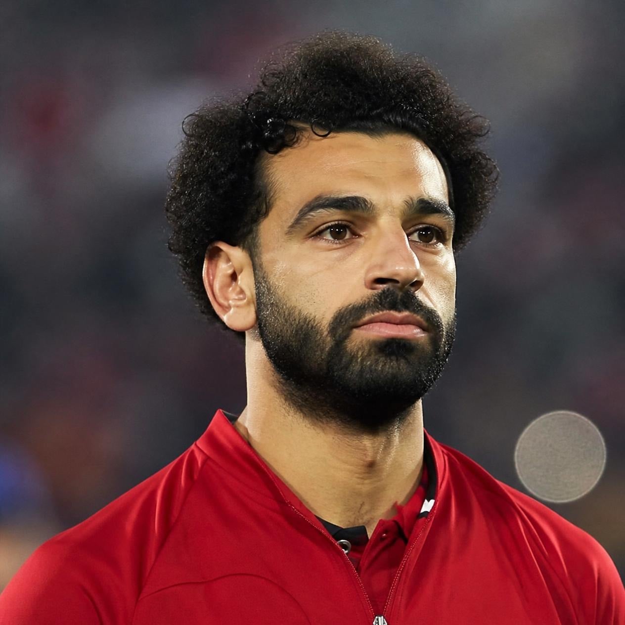 محمد صلاح للقمه