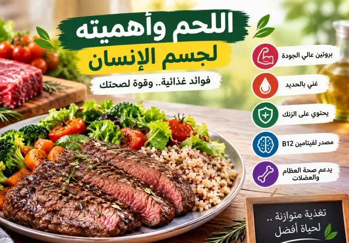 اللحم وأهميته لجسم الإنسان: فوائد اللحوم وقيمتها الغذائية وكيفية تناولها بطريقة صحية
