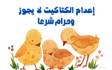 إعدام الكتاكيت لا يجوز وحرام شرعا
