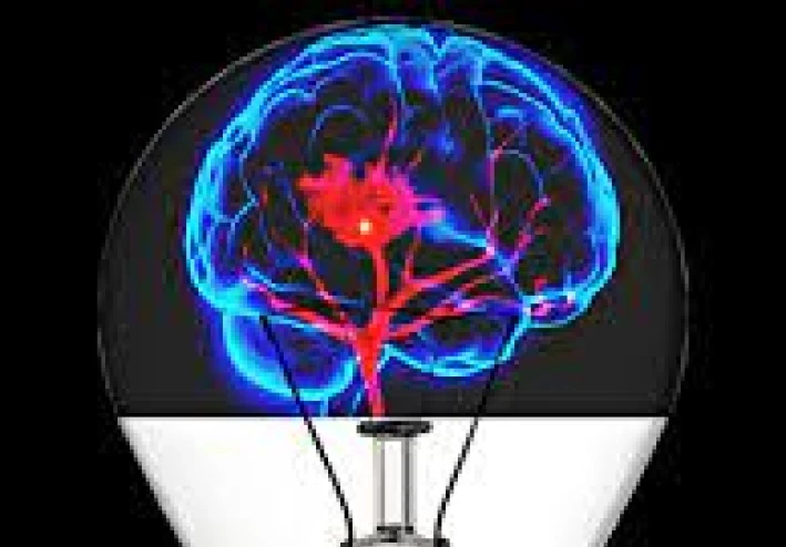 Treatment of excess electricity in the brain herbal