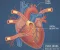 Coronary Artery Disease: How It Develops and Its Symptoms