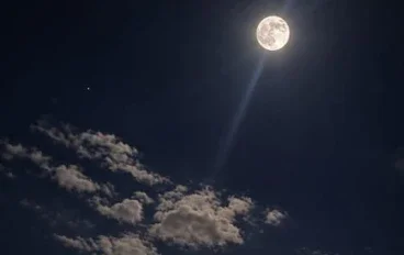 • ماذا يحدث عندما تأخذني أفكاري إلى الهاوية؟