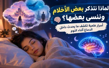 🧠 لماذا نتذكر بعض الأحلام وننسى بعضها؟ أسرار علمية تكشف ما يحدث داخل الدماغ أثناء النوم