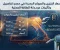 أسعار البنزين والسولار الجديدة في مصر: