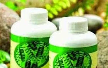 ما هي المكملات الغذائية العضوية وأهميتها لصحتك