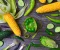 Unlock Your Best Body: A Comprehensive Guide to Effective Weight Loss
