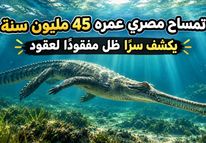 تمساح مصري عمره 45 مليون سنة يكشف سرا ظل مدفونا لعقود .....