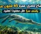 تمساح مصري عمره 45 مليون سنة يكشف سرا ظل مدفونا لعقود ..... 