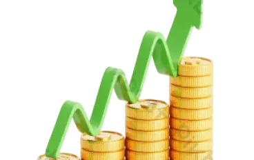  كيف تبدأ وتضمن تحقيق أرباح مستدامة؟
