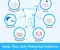Understanding Common Dental Issues and Simple Ways to Treat Them