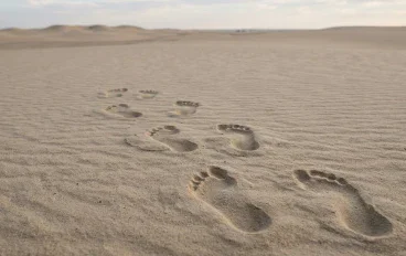 🏷️ آثار أقدام تظهر وحدها على الأرض.. مين اللي كان بيمشي في البيت؟ 👣