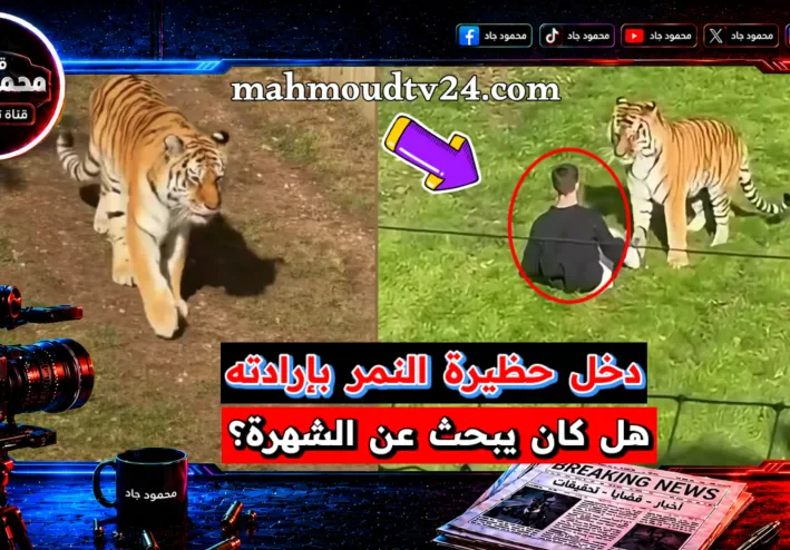 وفاة ويليام تشابمان داخل حظيرة نمر بإنجلترا.. فيديو جديد وتحقيق في الحادث